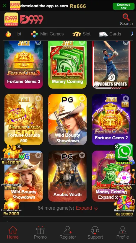 FD999 Game